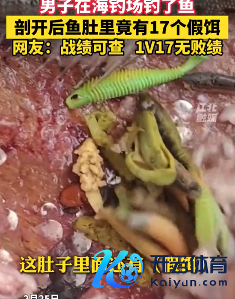 须眉垂钓剖开鱼肚发现17个假饵